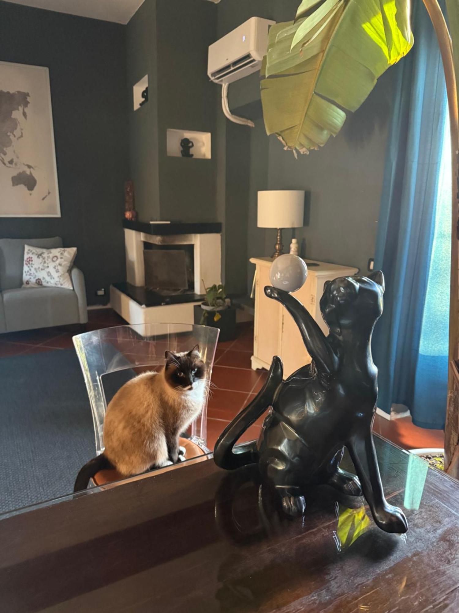 B&B Rio Grande Massarosa Eksteriør billede